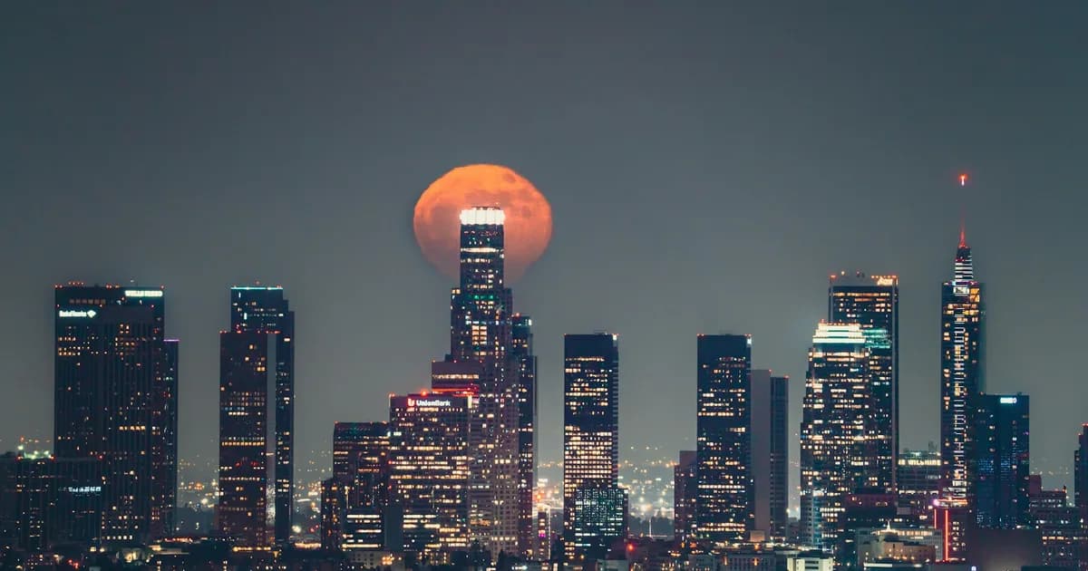 Astrology Reading in Los Angeles: Natal Chart for Love, Career, and Purpose