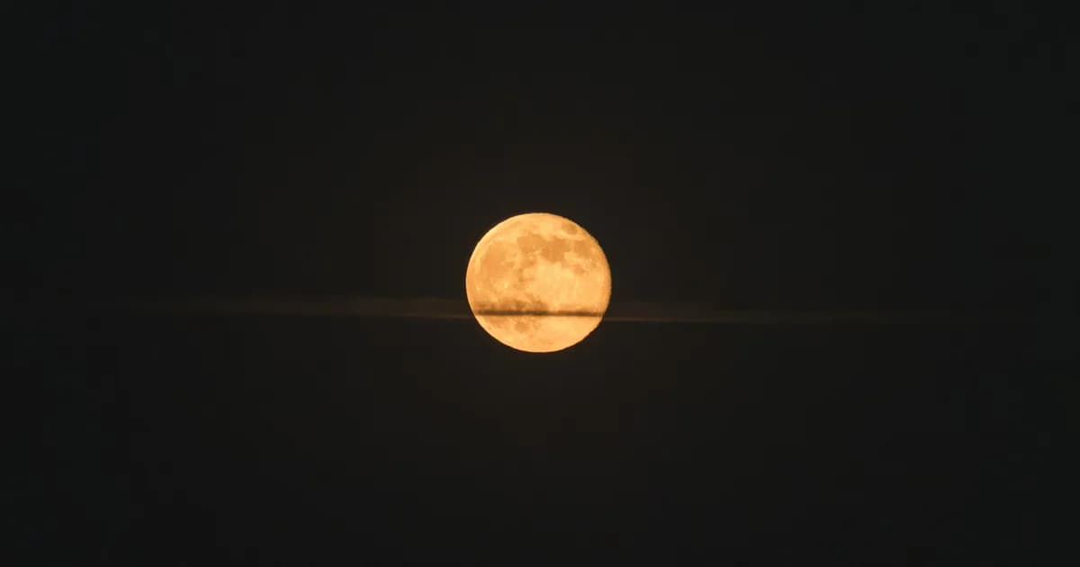 Mercury Retrograde 2026 for Leo: Dates, Effects, and Advice