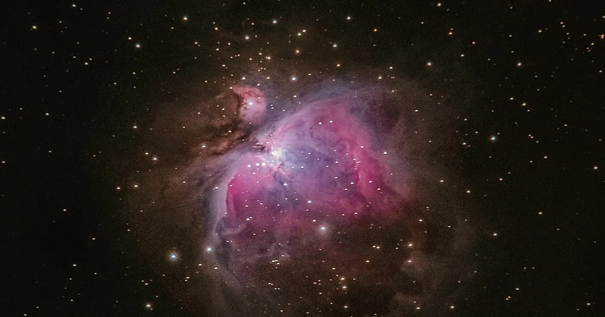 Which House Rules Love in Astrology?